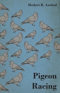 Cover: Pigeon Racing - Read Books