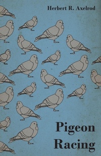 Enlarge image Cover: Pigeon Racing - Read Books