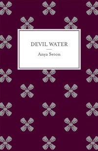 Enlarge image Cover: Devil Water - Hodder & Stoughton