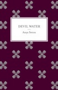 Enlarge image Cover: Devil Water - Hodder & Stoughton Ltd
