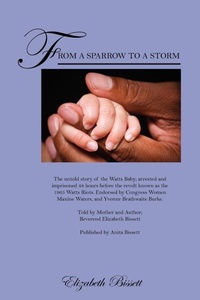 Abbildung von: From a Sparrow to a Storm - Outskirts Press