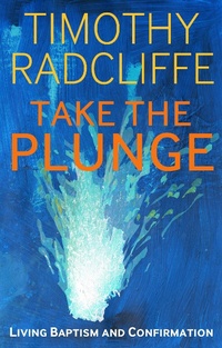 Enlarge image Cover: Take the Plunge - Bloomsbury Continuum