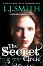 Cover: The Secret Circle: The Divide - Hodder Children's Books