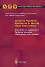 Cover: Advanced Algorithmic Approaches to Medical Image Segmentation - Springer