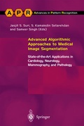 Cover: Advanced Algorithmic Approaches to Medical Image Segmentation - Springer
