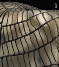 Cover: Links - University of Washington Press