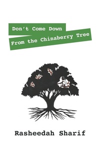 Abbildung von: Don't Come Down from the Chinaberry Tree - Outskirts Press