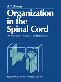 Enlarge image Cover: Organization in the Spinal Cord - Springer
