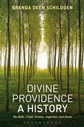 Cover: Divine Providence: A History - Bloomsbury Continuum