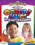 Cover: Bible Fun Stuff - David C Cook Publishing Company