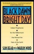 Cover: Black Dawn, Bright Day - Touchstone