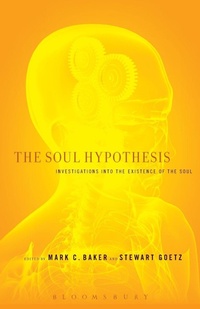 Enlarge image Cover: The Soul Hypothesis - Continuum Publishing Corporation