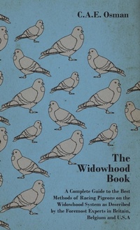 Abbildung von: The Widowhood Book - A Complete Guide to the Best Methods of Racing Pigeons on the Widowhood System as Described by the Foremost Experts in Britain, Belgium and U.S.A - Read Books