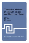 Cover: Theoretical Methods in Medium-Energy and Heavy-Ion Physics - Springer