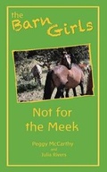 Cover: Not for the Meek - Outskirts Press