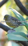 Cover: Diseases of Canaries - Read Books