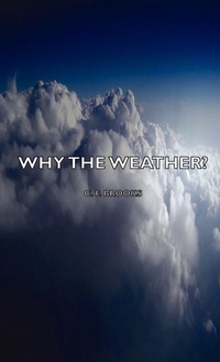 Abbildung von: Why the Weather? - Read Books