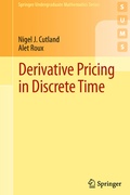 Cover: Derivative Pricing in Discrete Time - Springer