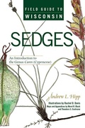 Cover: Field Guide to Wisconsin Sedges - University of Wisconsin Press