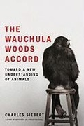 Cover: The Wauchula Woods Accord - Scribner