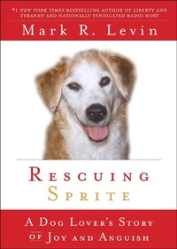 Enlarge image Cover: Rescuing Sprite - Threshold Editions