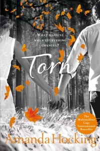Enlarge image Cover: Torn - Tor