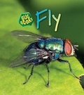 Cover: Fly - Heinemann Educational Books
