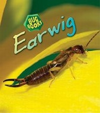 Enlarge image Cover: Earwig - Heinemann Educational Books