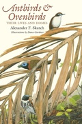 Cover: Antbirds and Ovenbirds - University of Texas Press