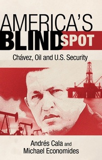 Enlarge image Cover: America's Blind Spot - Bloomsbury Continuum