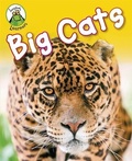 Cover: Leapfrog Learners: Big Cats - Franklin Watts Ltd