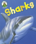 Cover: Leapfrog Learners: Sharks - Franklin Watts Ltd