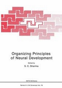 Abbildung von: Organizing Principles of Neural Development - Kluwer Academic/Plenum Publishers