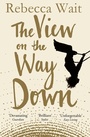 Cover: The View on the Way Down - Picador