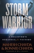Cover: Storm Warrior - Baker Publishing Group