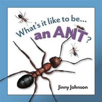 Enlarge image Cover: An Ant? - Franklin Watts Ltd
