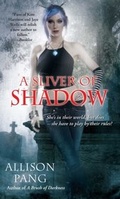 Cover: A Sliver of Shadow - Pocket Books