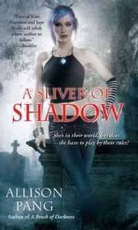 Enlarge image Cover: A Sliver of Shadow - Pocket Books