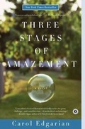 Cover: Three Stages of Amazement - Scribner