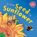 Cover: Lifecycles: From Seed To Sunflower - Franklin Watts Ltd