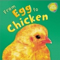 Cover: Lifecycles: From Egg To Chicken - Franklin Watts Ltd