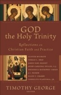 Enlarge image Cover: God the Holy Trinity (Beeson Divinity Studies) - Baker Publishing Group