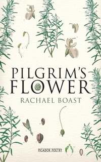 Enlarge image Cover: Pilgrim's Flower - Picador