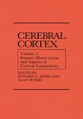 Bild: Sensory-Motor Areas and Aspects of Cortical Connectivity - Springer