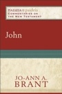 Cover: John - Baker Academic