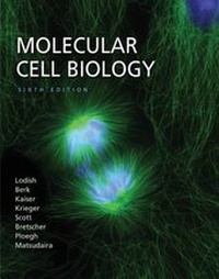 Enlarge image Cover: Molecular Cell Biology - W.H.Freeman & Co Ltd