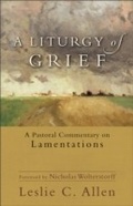 Cover: Liturgy of Grief - Baker Publishing Group