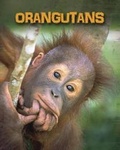 Cover: Orangutans - Heinemann Educational Books