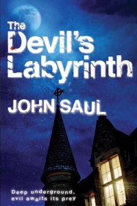 Enlarge image Cover: The Devil's Labyrinth - Macmillan