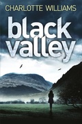 Cover: Black Valley - Pan Books
